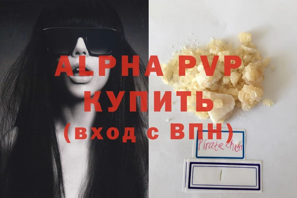 индика Горнозаводск