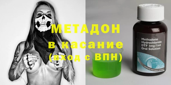 индика Горнозаводск
