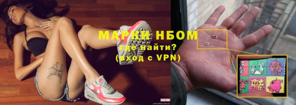 индика Горнозаводск