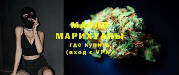индика Горнозаводск