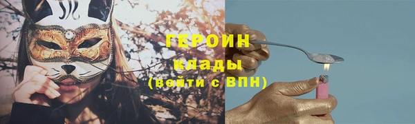 индика Горнозаводск