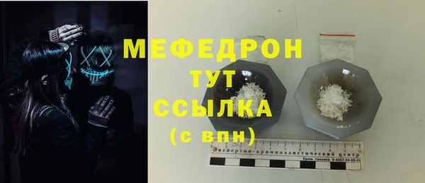 индика Горнозаводск