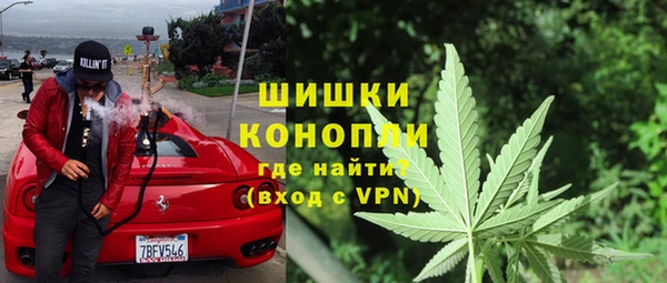 индика Горнозаводск