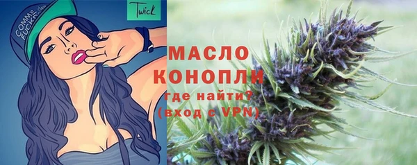 индика Горнозаводск