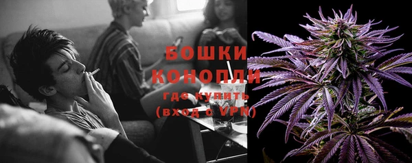 дмт Гусь-Хрустальный