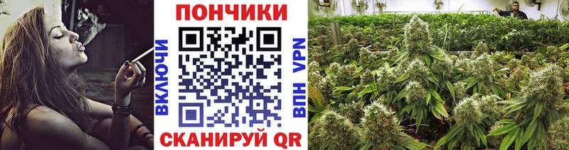 Купить закладки Полевской Шишки марихуана White Widow